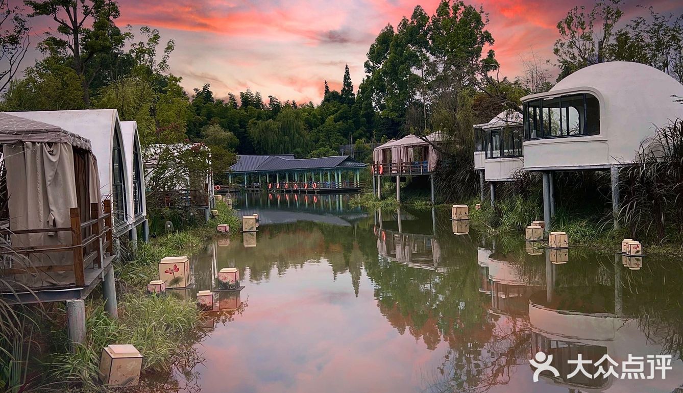 成都周边游‼️40000平现实版绿野仙踪🖼 .