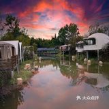 成都周边游‼️40000平现实版绿野仙踪🖼 .