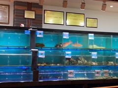 水产区-南海渔家•海鲜•正宗海南菜(海棠湾店)