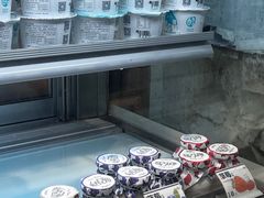 -狐狸家·酸奶酪专门店(平江路店)