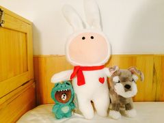 -PAWTOY爪e玩偶店(天兴罗斯福店)