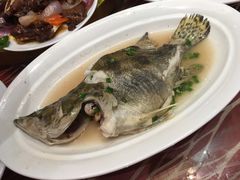 -绿地御豪温泉酒店·御泉中餐厅