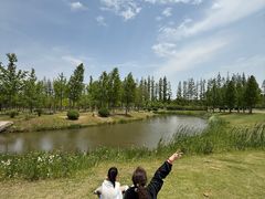 -黄海国家森林公园