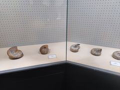 -辽宁古生物博物馆