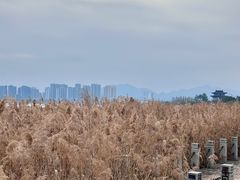-江心屿景区