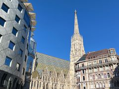 -斯蒂芬主教座堂(Stephansdom)