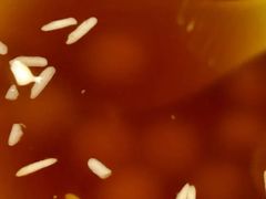 -小街天府(西工小街店)