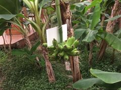 -汤山翠谷生态餐厅