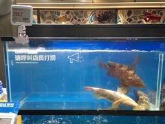 水产区-盒马鲜生(曜一城店)