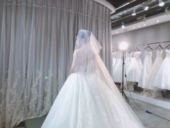 -艾米丽婚纱礼服