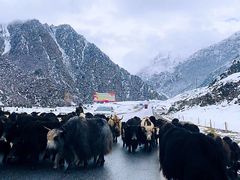 -扁都口生态休闲旅游区