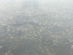 -西昌邛海宾馆