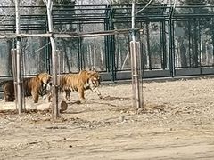 -秦皇岛野生动物园