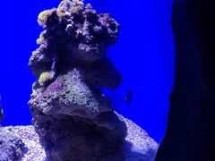 -北海海底世界