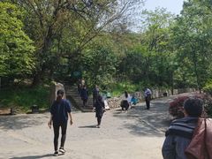 -紫金山山顶公园