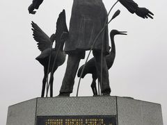 -盐城丹顶鹤湿地生态旅游区