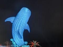 -珠海长隆海洋王国