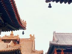 -雍和宫