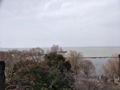 -湖南东洞庭湖国家级自然保护区