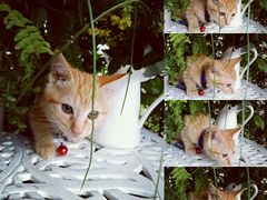 -广州迷途主题旅馆(海珠广场店)