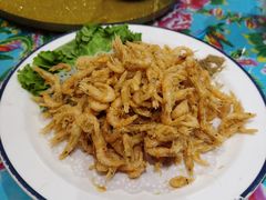 -闯关东东北农家菜(崂山石老人店)