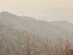-灵顺寺