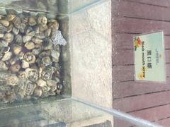 iphone_upload_pic-三亚海韵度假酒店·渔人码头海鲜火锅BBQ自助餐厅·落日吧