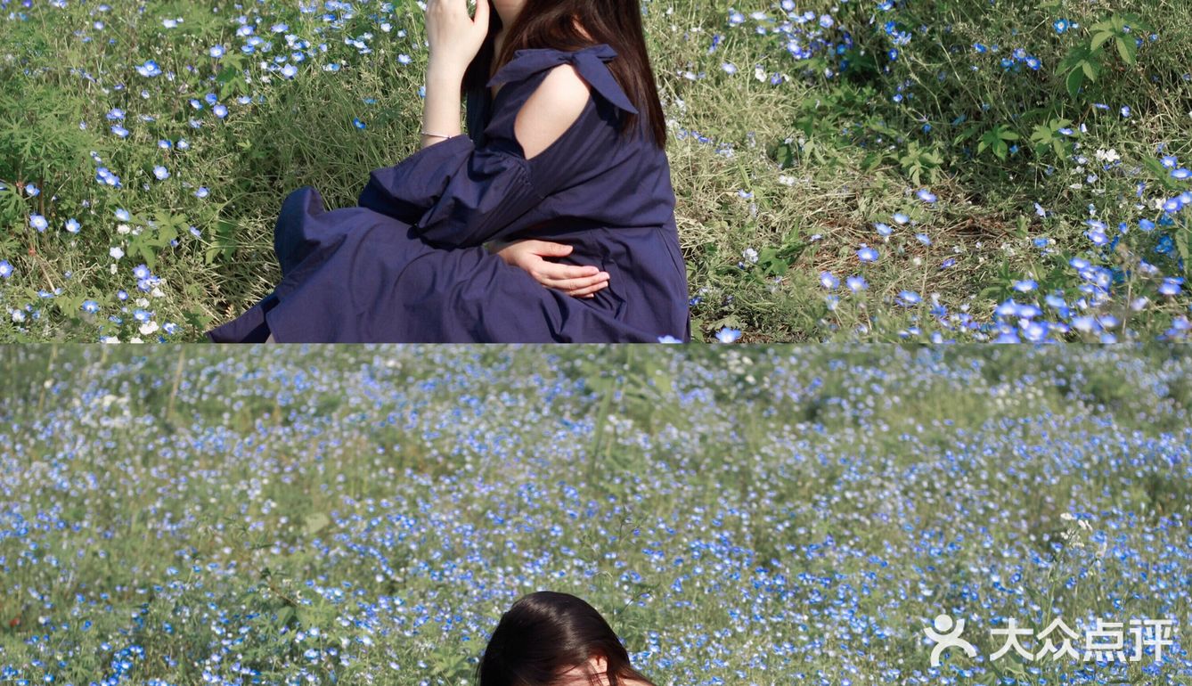 杭州喜林草花海打卡|掉进莫奈花园里啦