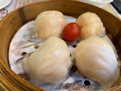 金牌虾饺皇-点都德(北京路贰店)