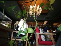 -D STAR COFFEE帝星咖啡