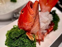 -洋房火锅(上海新天地南北里店)