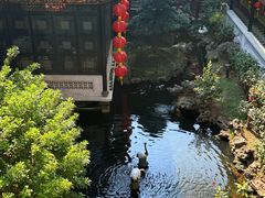-北园酒家(小北路店)