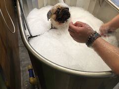 -PETKIT小佩宠物(古北店)