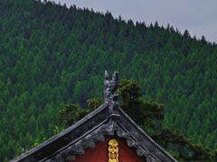 -五台山风景名胜区