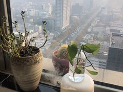 -星美科技皮肤管理中心(国贸店)