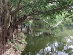 -人民公园(罗湖区)