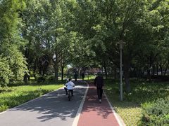 -望湖公园