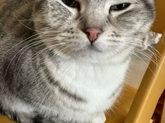 -平行世界·猫咖(首经贸店)