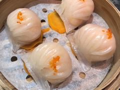 -海王老记