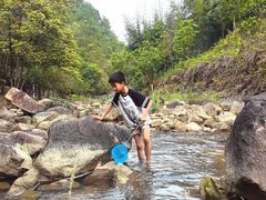 -广州白江湖森林公园