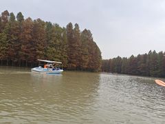 -上海海湾国家森林公园