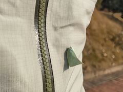 -泉州海丝野生动物世界