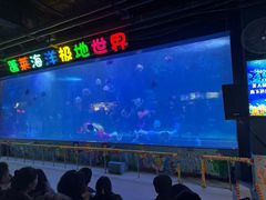 -蓬莱欧乐堡海洋极地世界