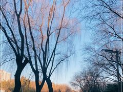 -元大都城垣遗址公园