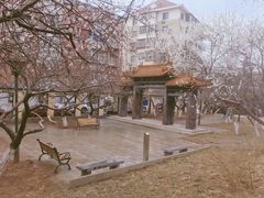 -桃花堤公园