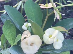 -北京植物园-展览温室