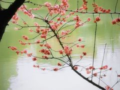 -望江楼公园