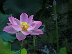 -八大山人梅湖景区