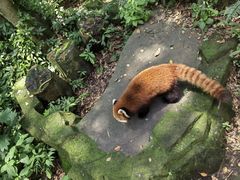 -杭州野生动物世界