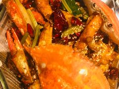 -胡桃里音乐酒馆(石家庄店)